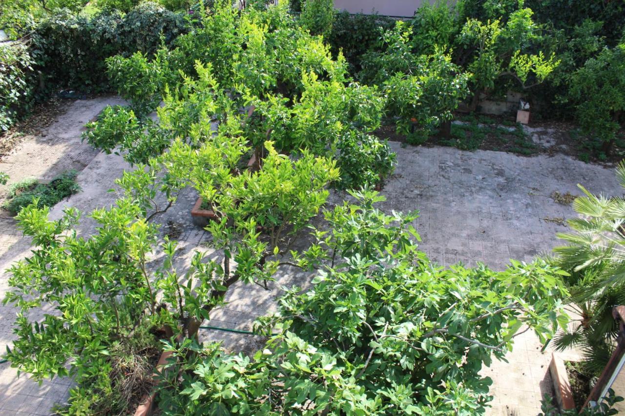 Greenhouse Mascalucia Zewnętrze zdjęcie