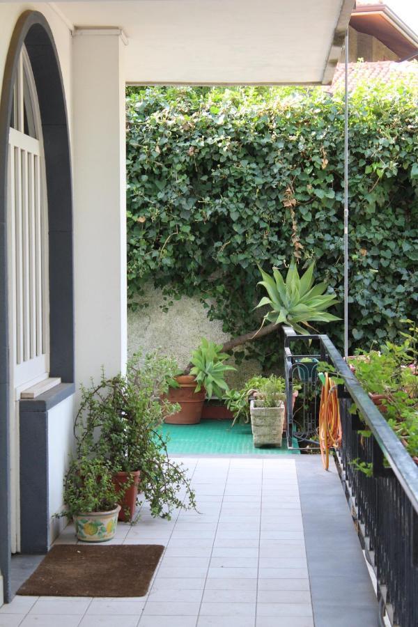 Greenhouse Mascalucia Zewnętrze zdjęcie